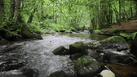 Watercourses - various distinctiveness